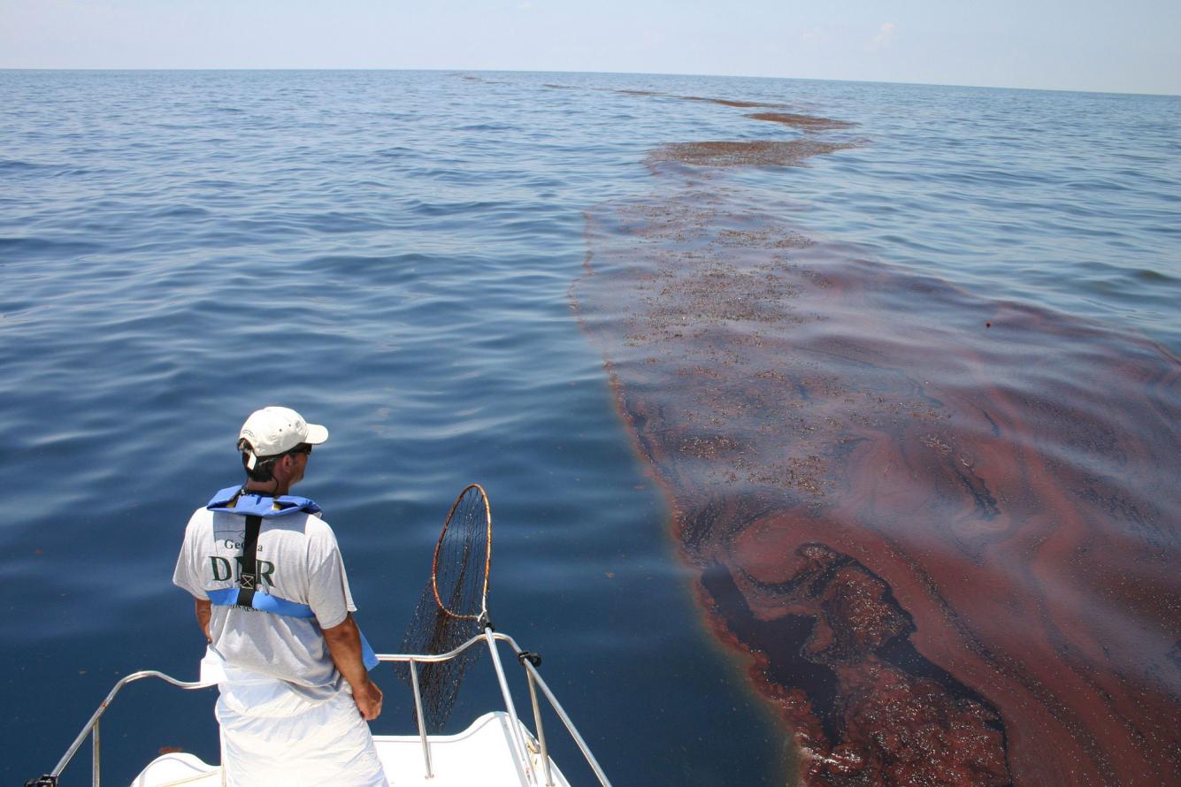 Oil spill image